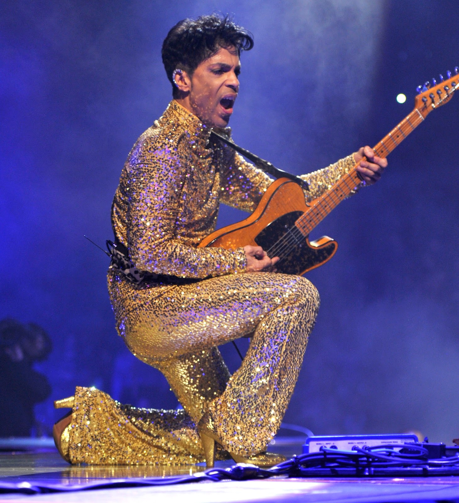 PrincerocksoutattheGardencopyrightNPGRecords2011.JPG